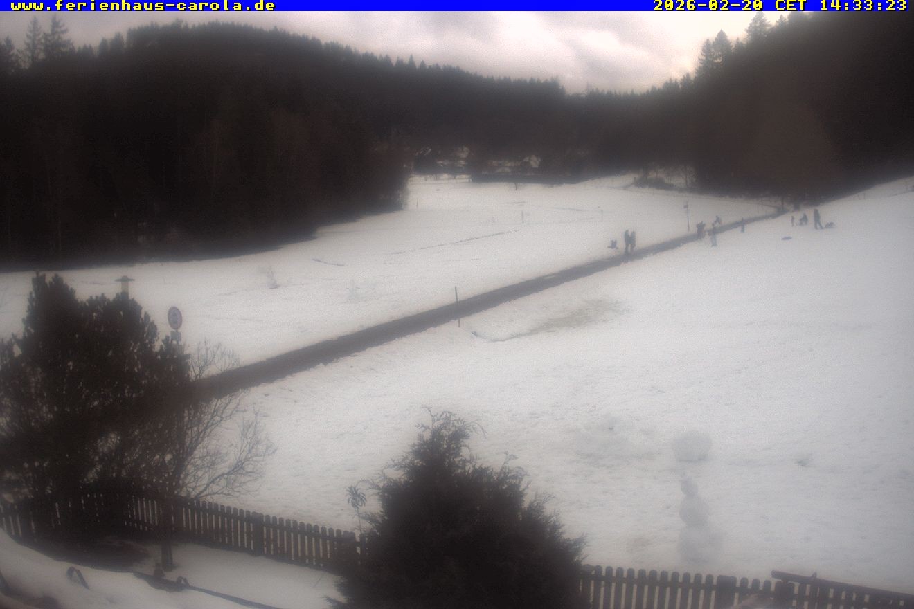 Archiv Foto Webcam Ferienhaus Carola in Hinterzarten