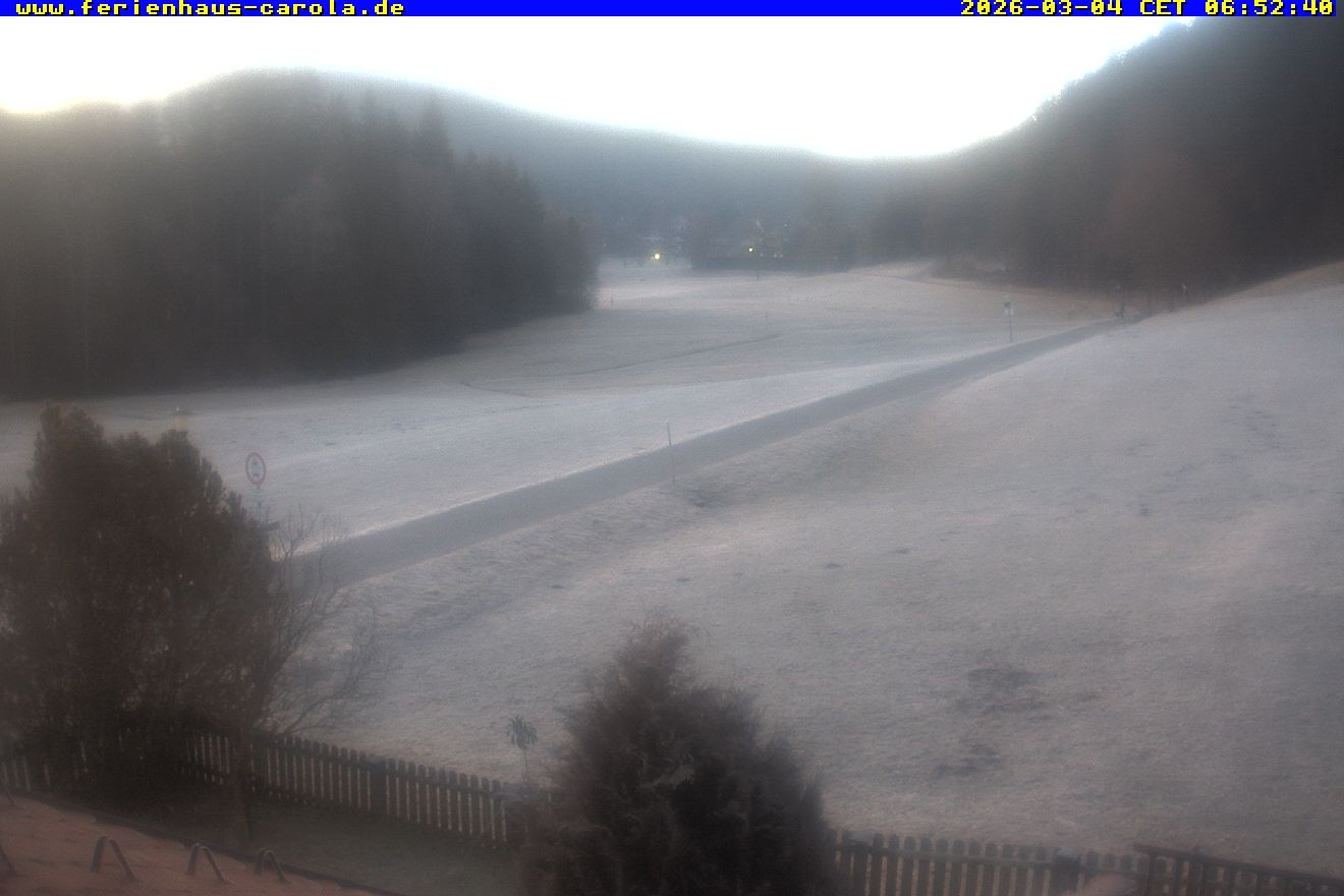 Archiv Foto Webcam Ferienhaus Carola in Hinterzarten