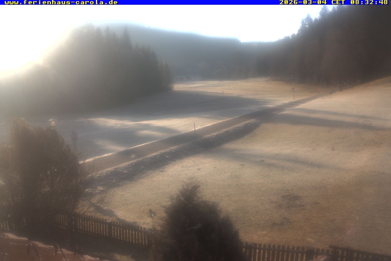 Archiv Foto Webcam Ferienhaus Carola in Hinterzarten