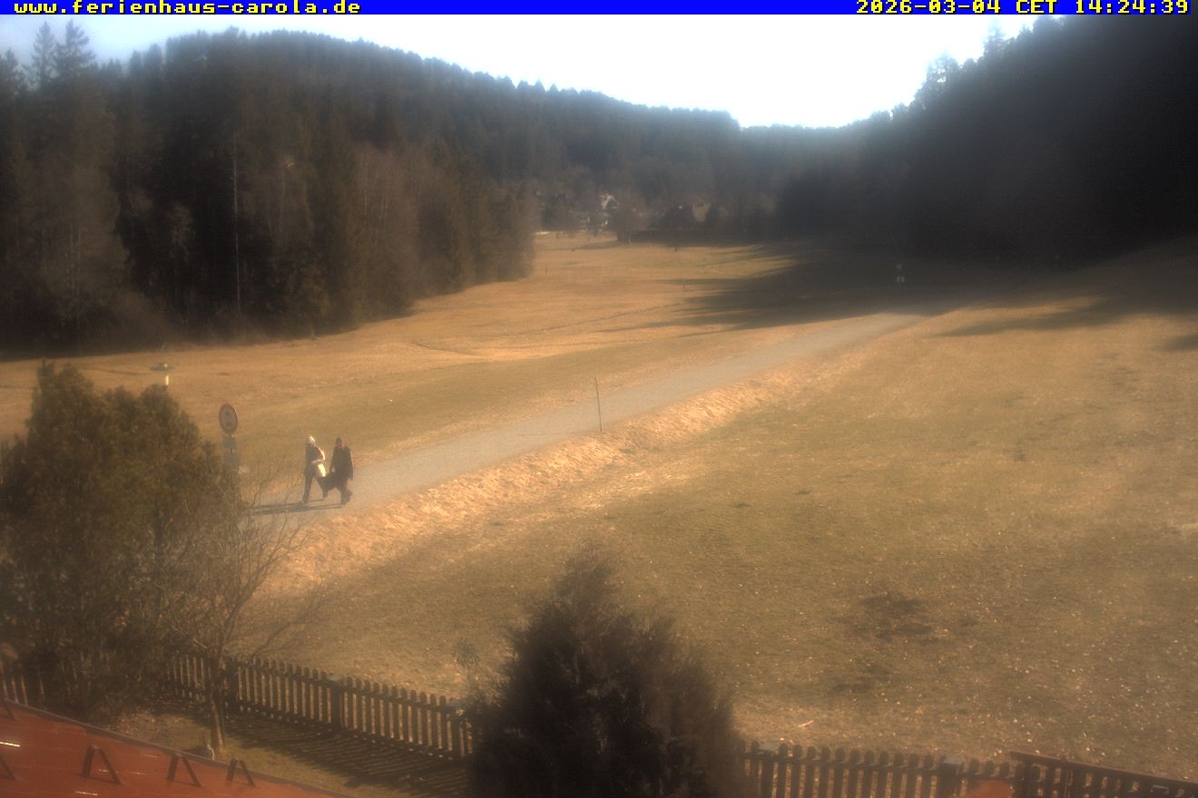 Archiv Foto Webcam Ferienhaus Carola in Hinterzarten