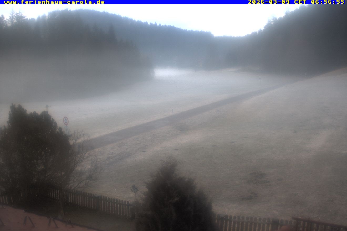 Archiv Foto Webcam Ferienhaus Carola in Hinterzarten