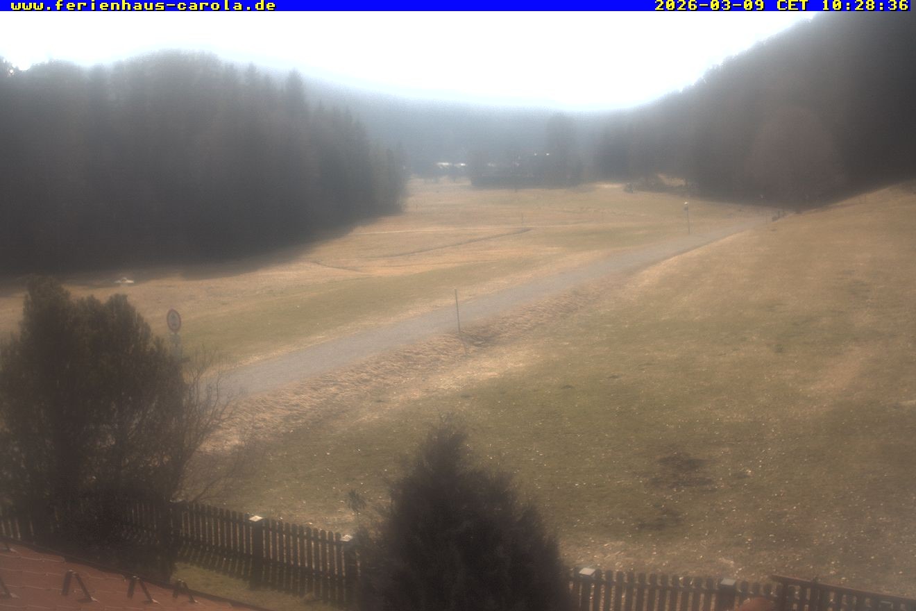 Archiv Foto Webcam Ferienhaus Carola in Hinterzarten