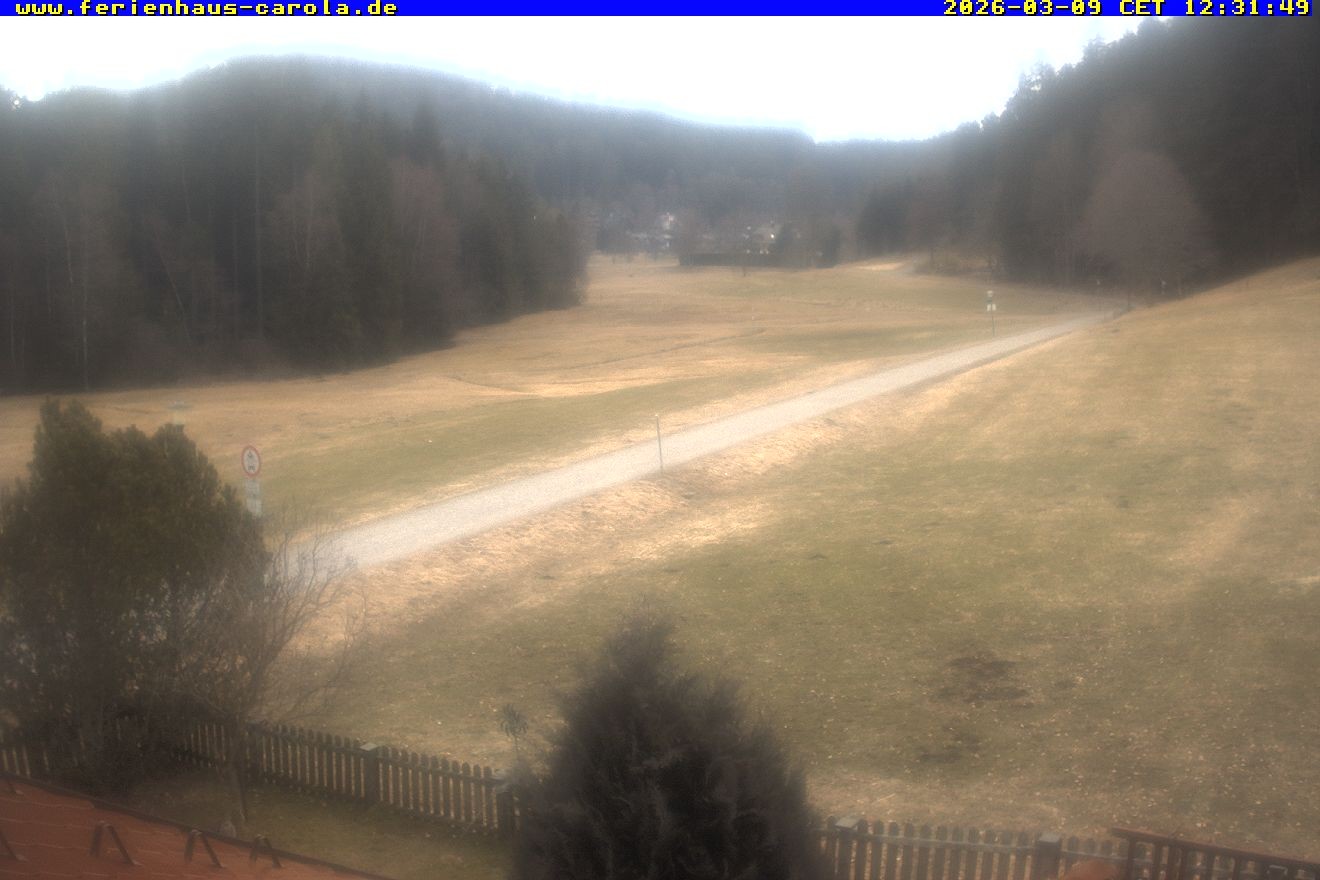 Archiv Foto Webcam Ferienhaus Carola in Hinterzarten