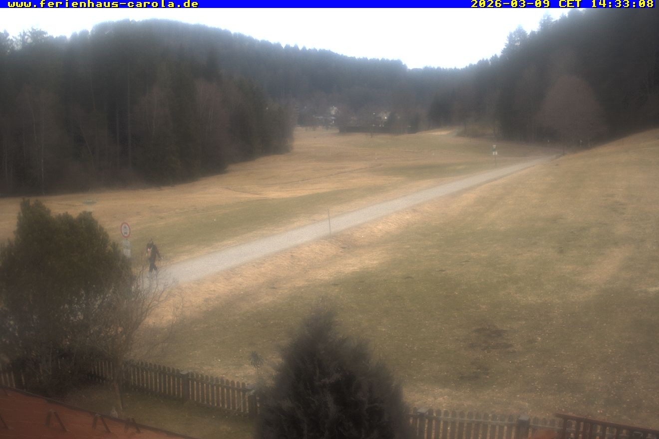 Archiv Foto Webcam Ferienhaus Carola in Hinterzarten