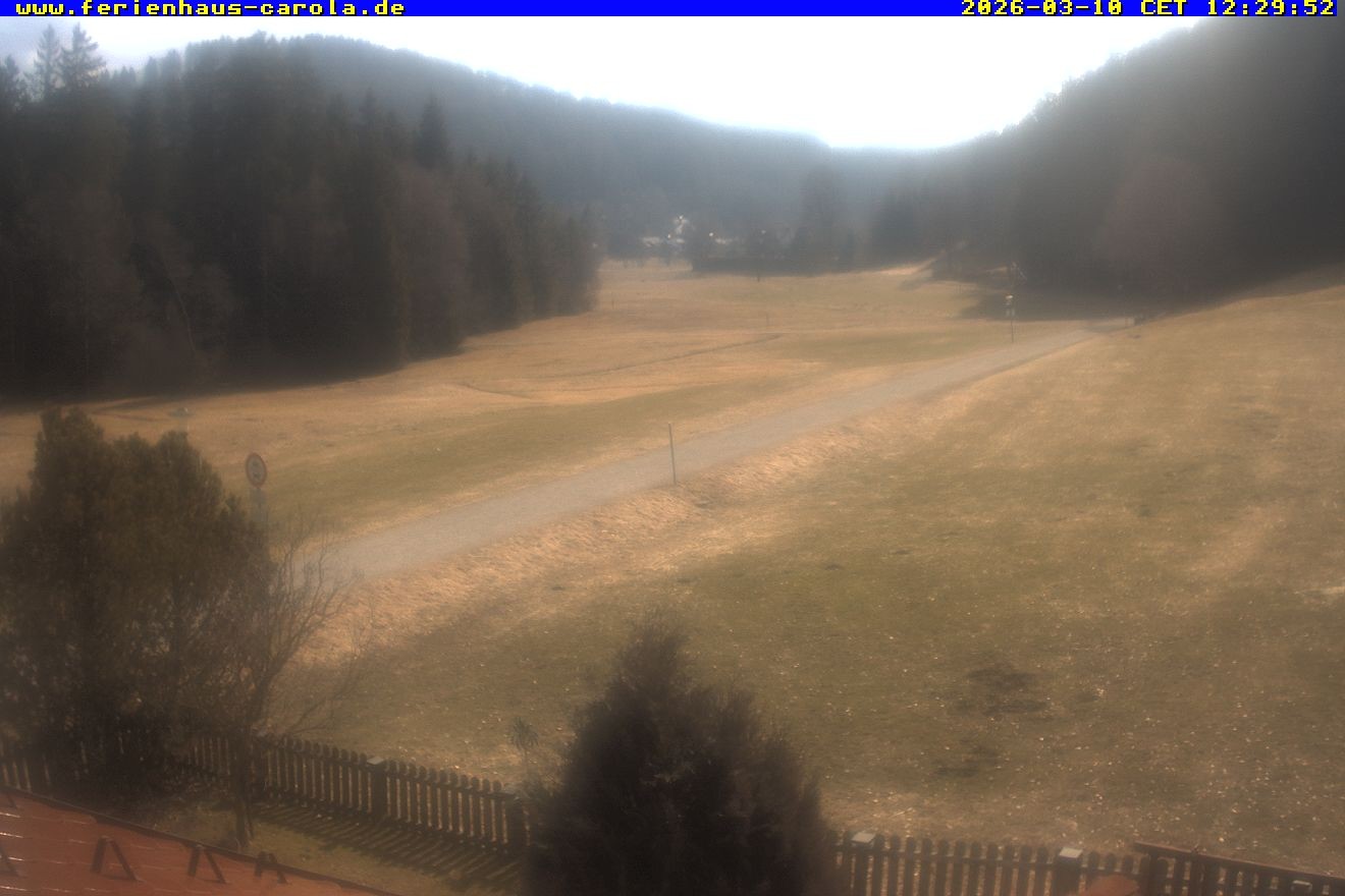 Archiv Foto Webcam Ferienhaus Carola in Hinterzarten