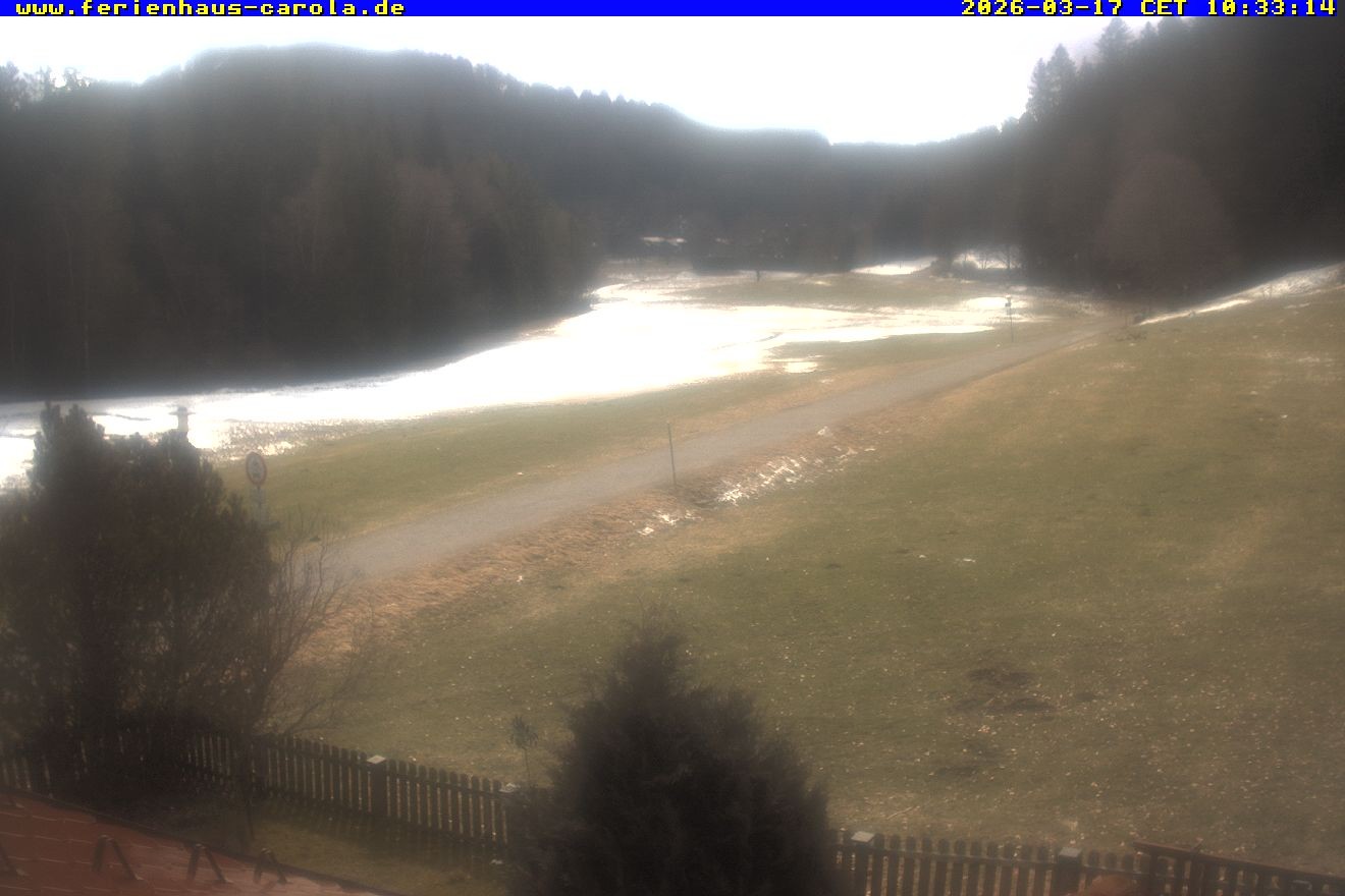 Archiv Foto Webcam Ferienhaus Carola in Hinterzarten