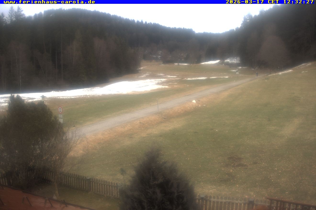 Archiv Foto Webcam Ferienhaus Carola in Hinterzarten
