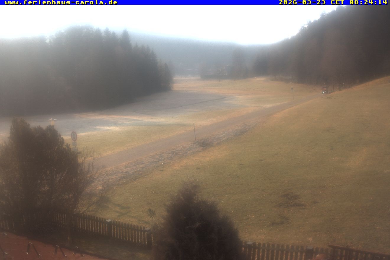 Archiv Foto Webcam Ferienhaus Carola in Hinterzarten