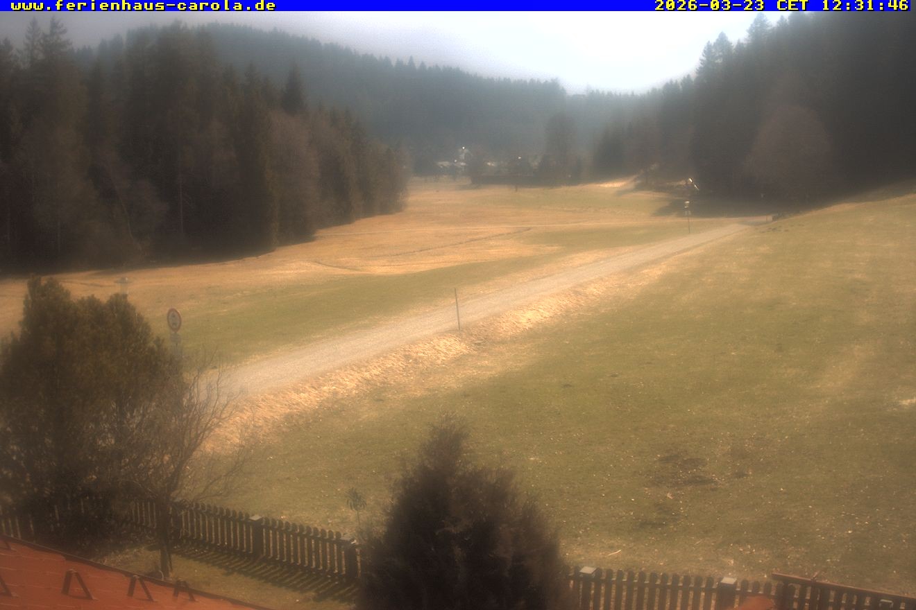Archiv Foto Webcam Ferienhaus Carola in Hinterzarten
