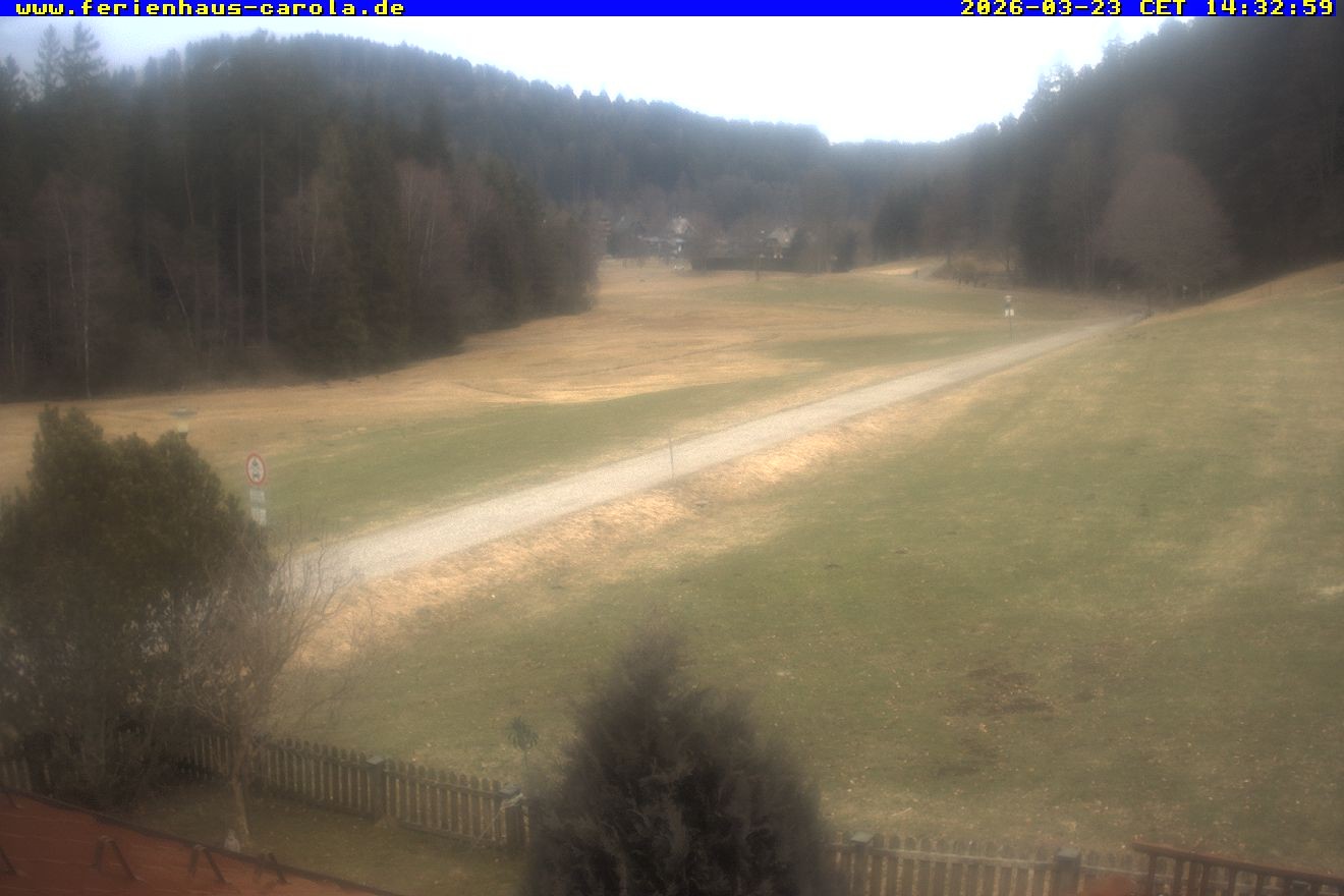 Archiv Foto Webcam Ferienhaus Carola in Hinterzarten