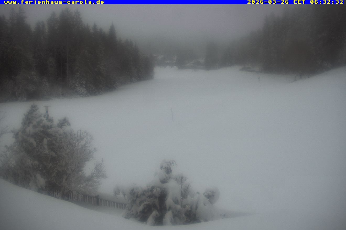 Archiv Foto Webcam Ferienhaus Carola in Hinterzarten