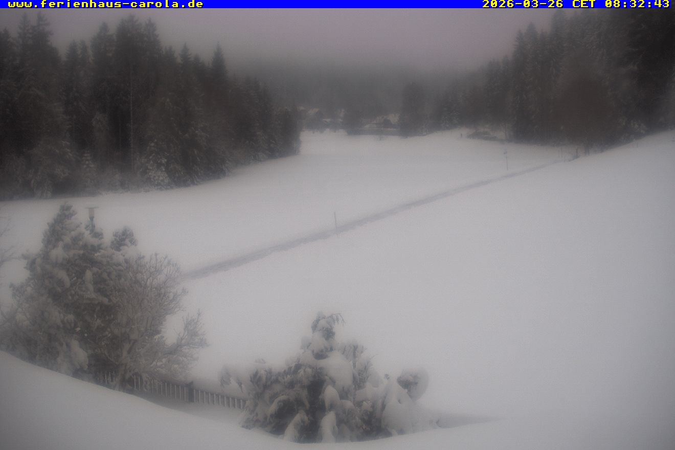 Archiv Foto Webcam Ferienhaus Carola in Hinterzarten