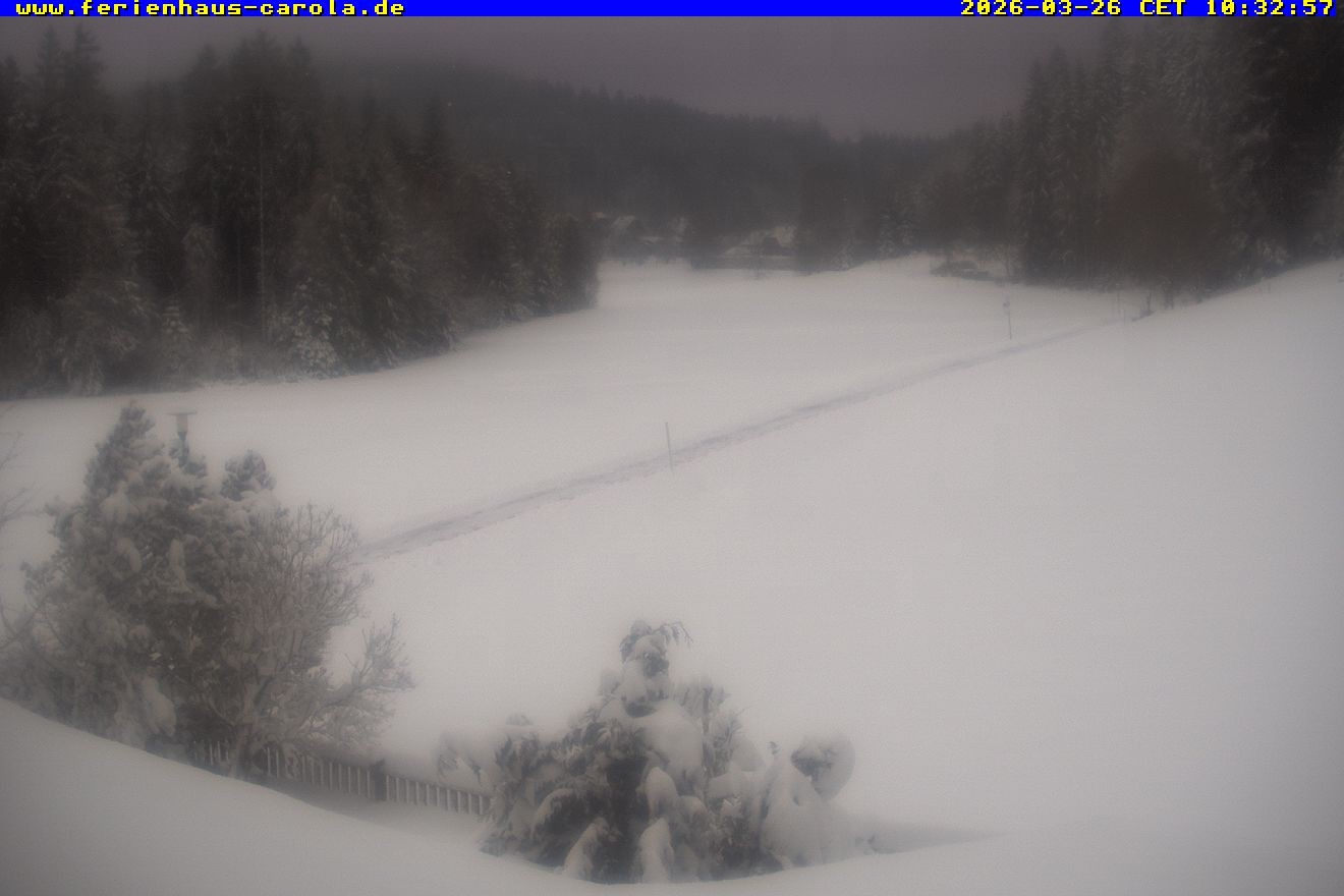 Archiv Foto Webcam Ferienhaus Carola in Hinterzarten