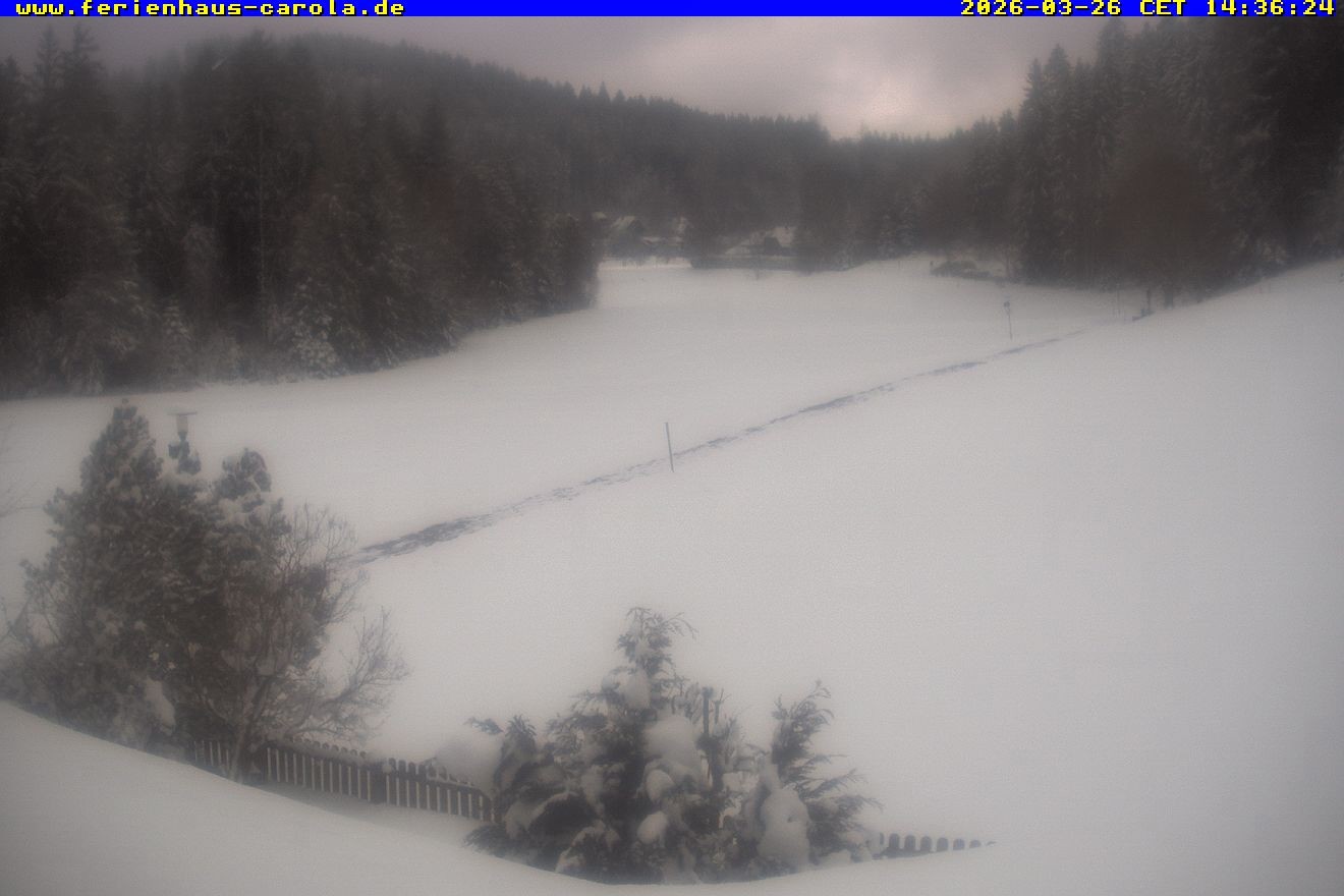 Archiv Foto Webcam Ferienhaus Carola in Hinterzarten