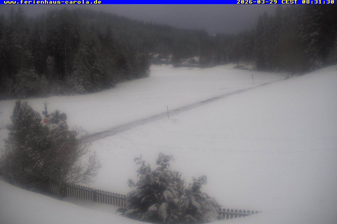 Archiv Foto Webcam Ferienhaus Carola in Hinterzarten