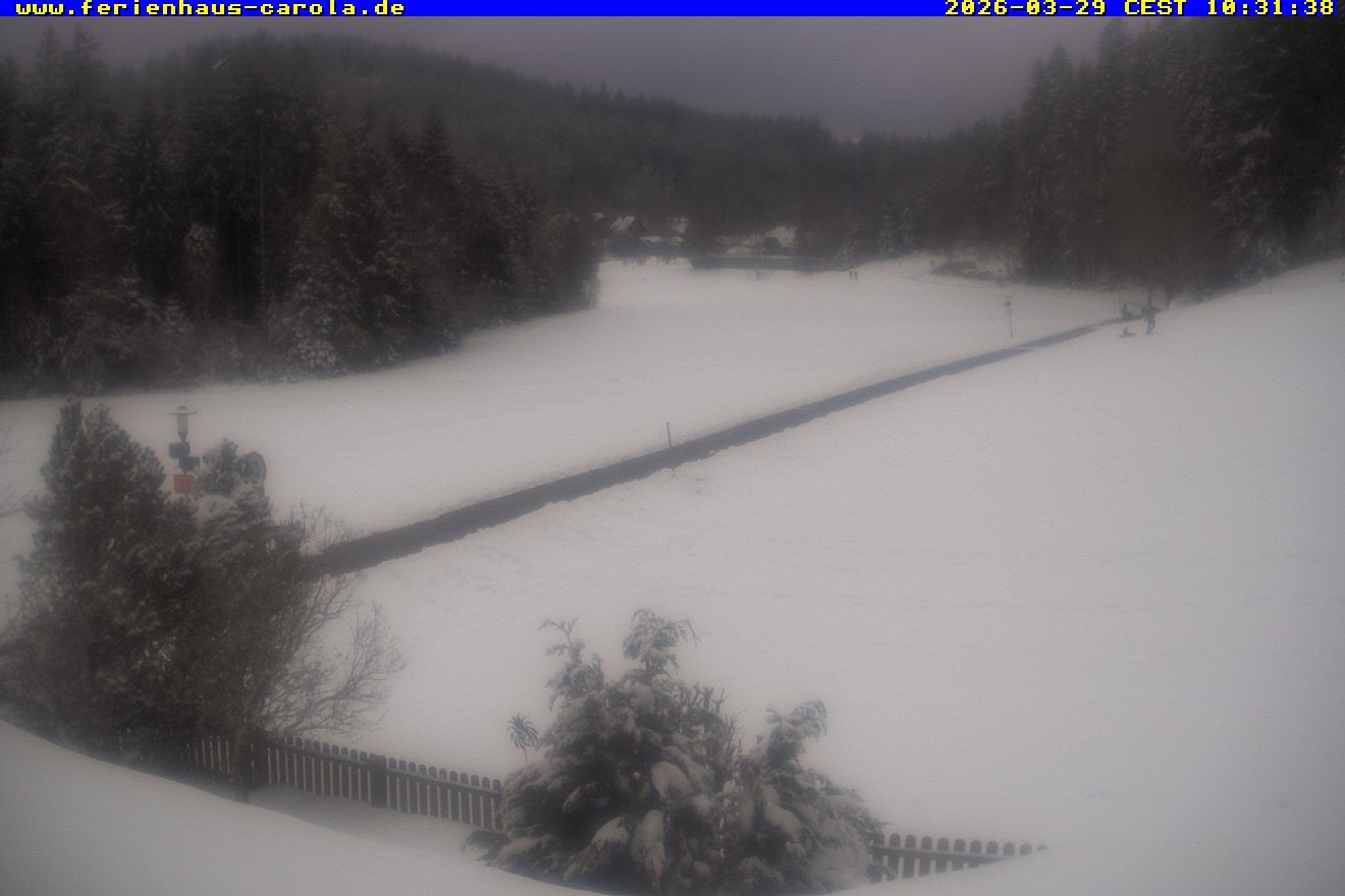 Archiv Foto Webcam Ferienhaus Carola in Hinterzarten