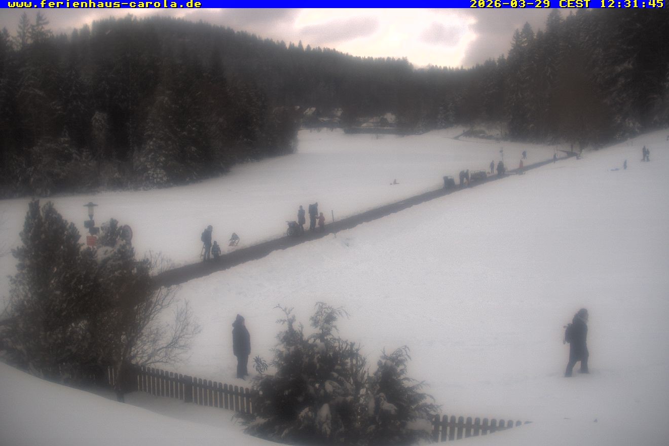 Archiv Foto Webcam Ferienhaus Carola in Hinterzarten