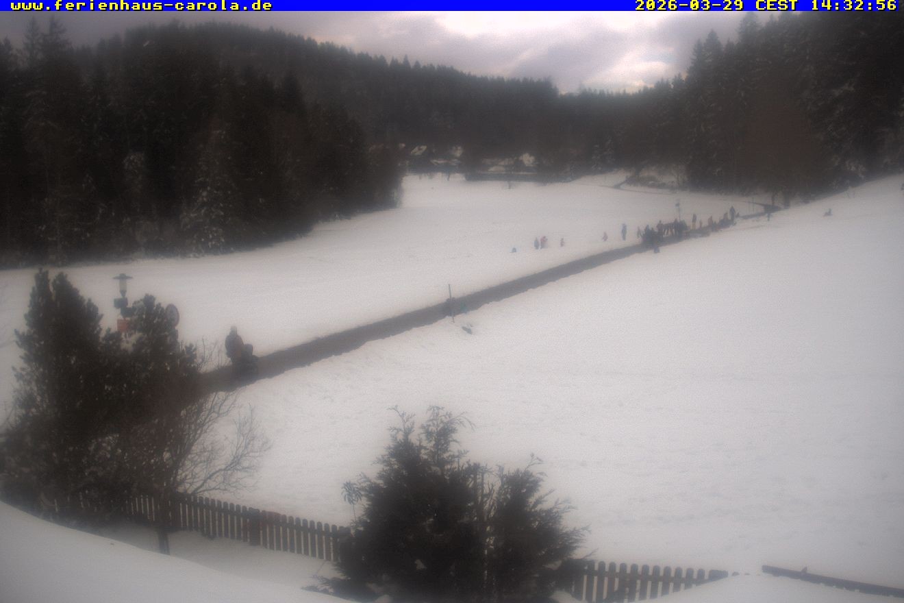 Archiv Foto Webcam Ferienhaus Carola in Hinterzarten