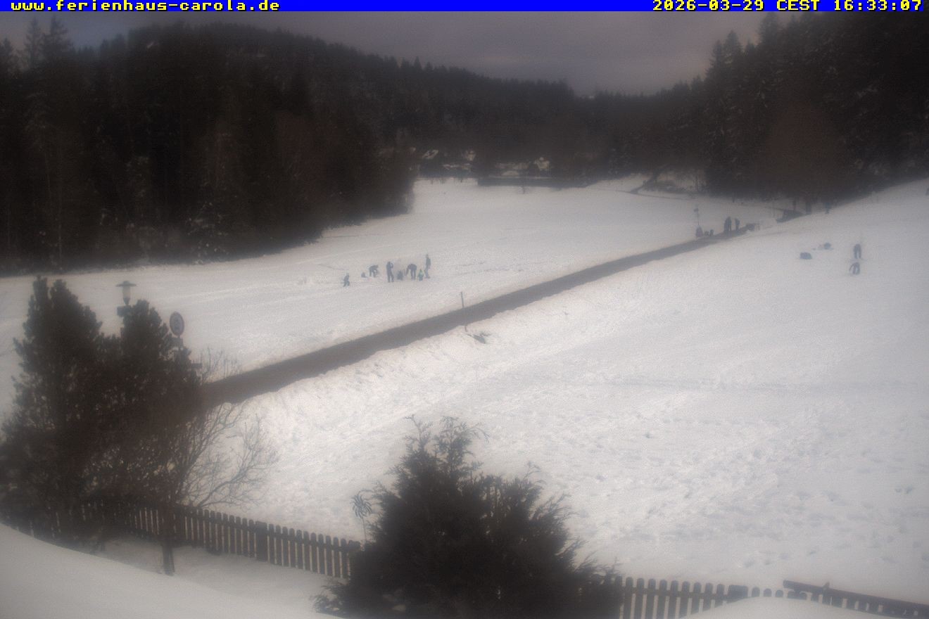 Archiv Foto Webcam Ferienhaus Carola in Hinterzarten