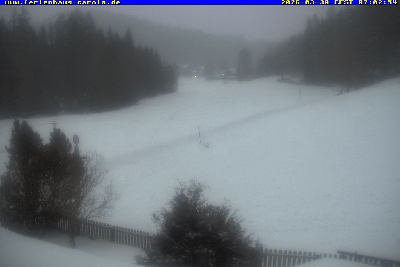 Archiv Foto Webcam Ferienhaus Carola in Hinterzarten