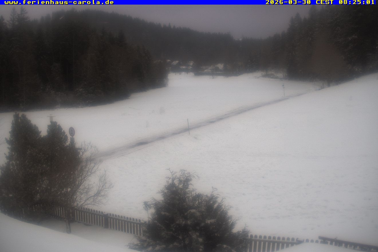 Archiv Foto Webcam Ferienhaus Carola in Hinterzarten