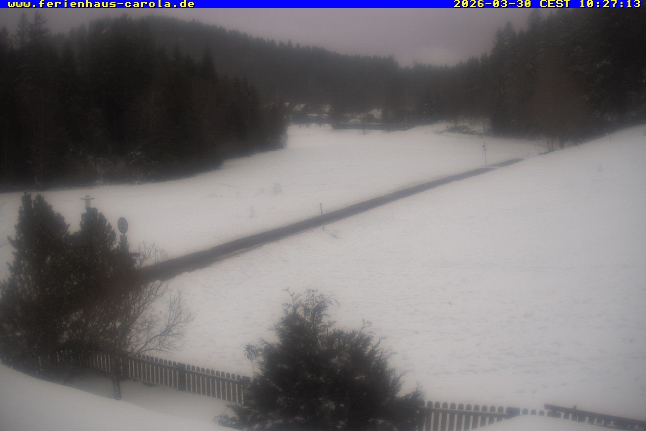 Archiv Foto Webcam Ferienhaus Carola in Hinterzarten