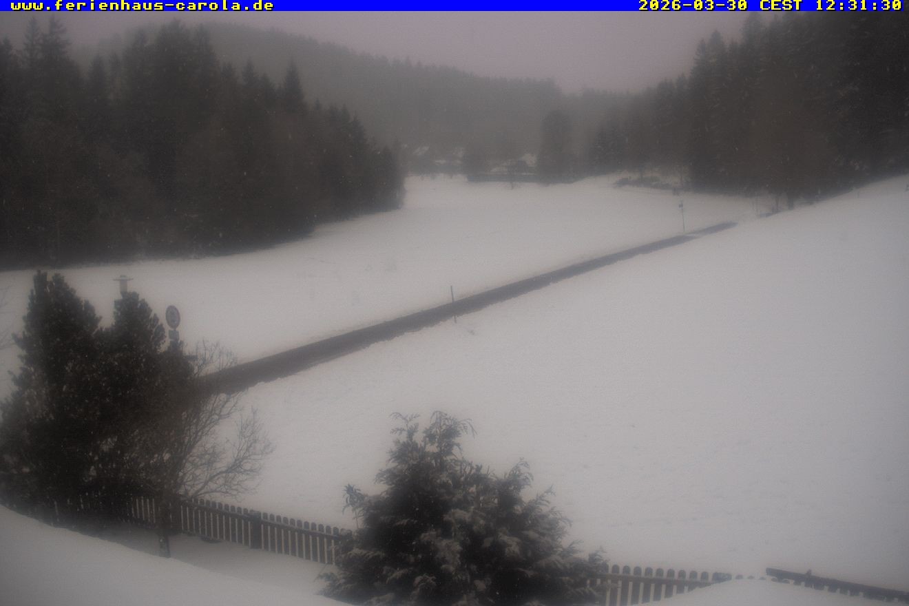 Archiv Foto Webcam Ferienhaus Carola in Hinterzarten