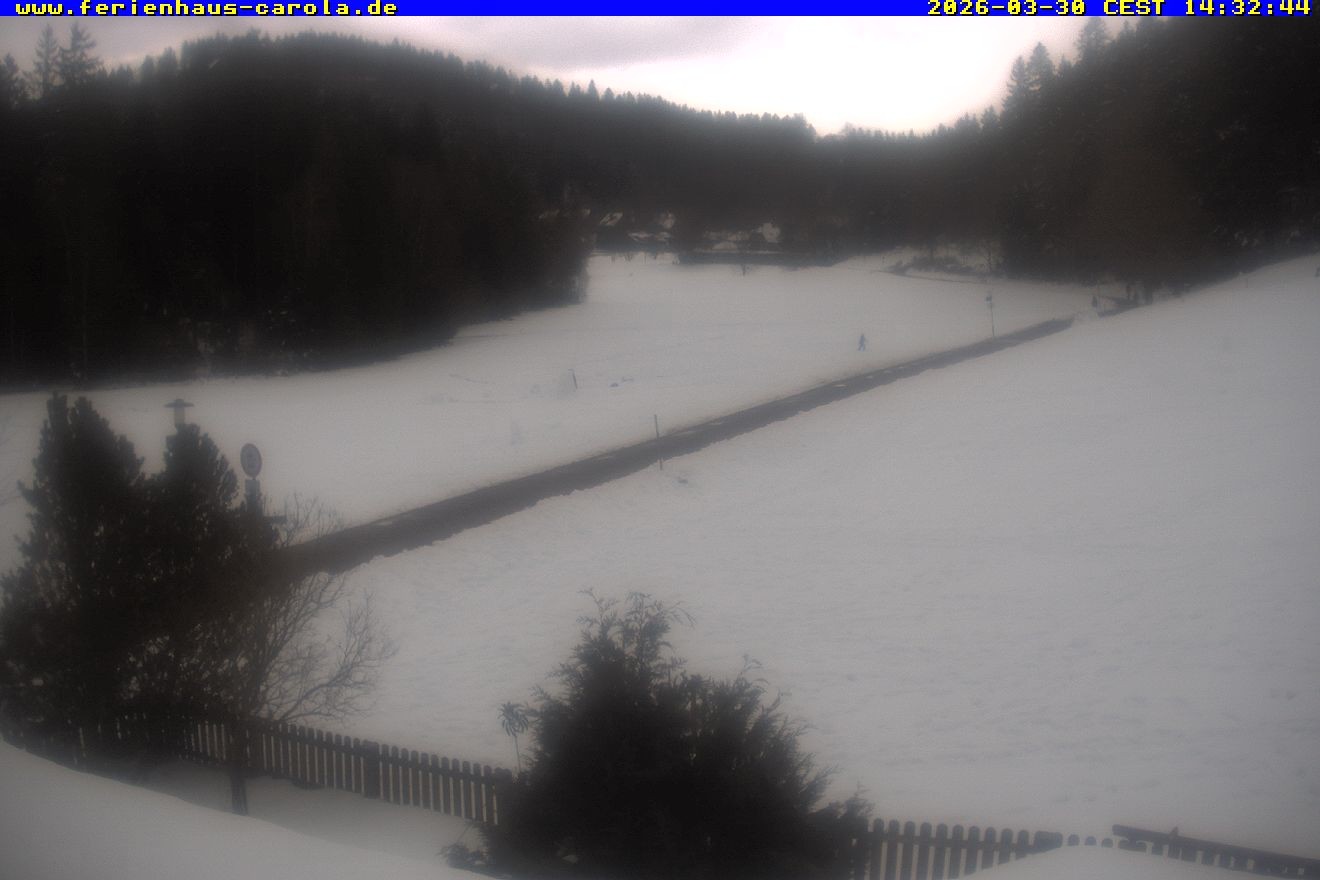 Archiv Foto Webcam Ferienhaus Carola in Hinterzarten