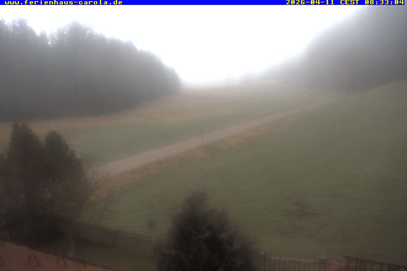 Archiv Foto Webcam Ferienhaus Carola in Hinterzarten