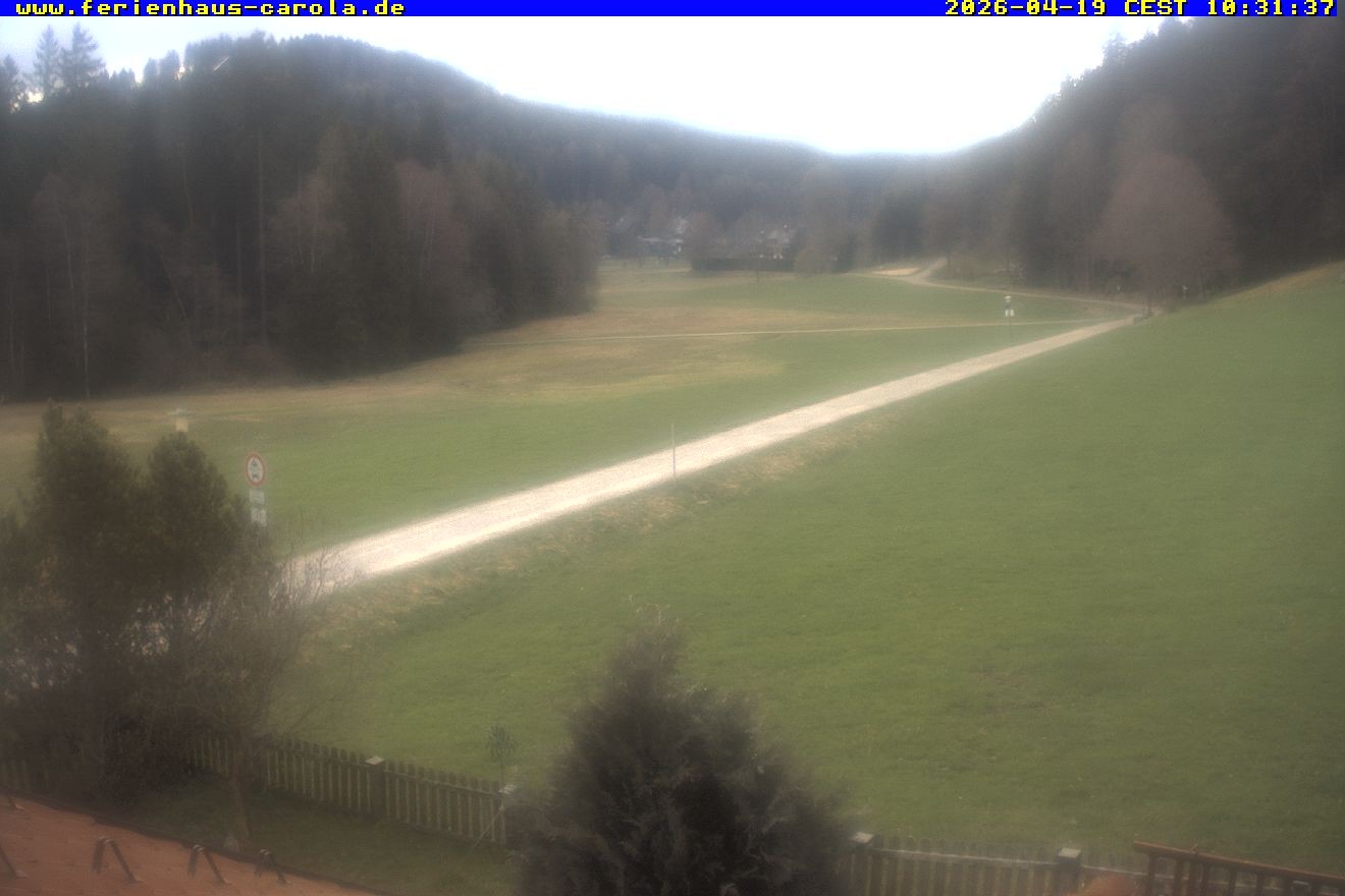 Archiv Foto Webcam Ferienhaus Carola in Hinterzarten
