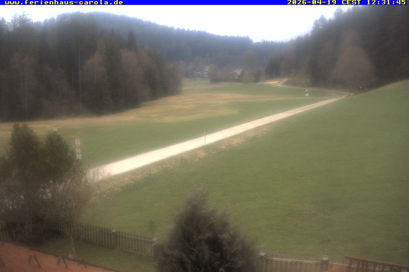 Archived image Webcam Holiday lodge Carola at Hinterzarten