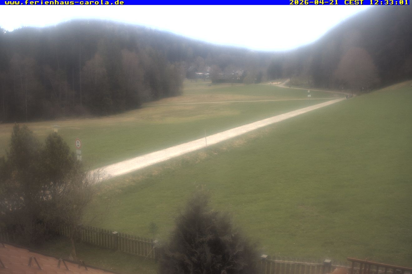 Archiv Foto Webcam Ferienhaus Carola in Hinterzarten