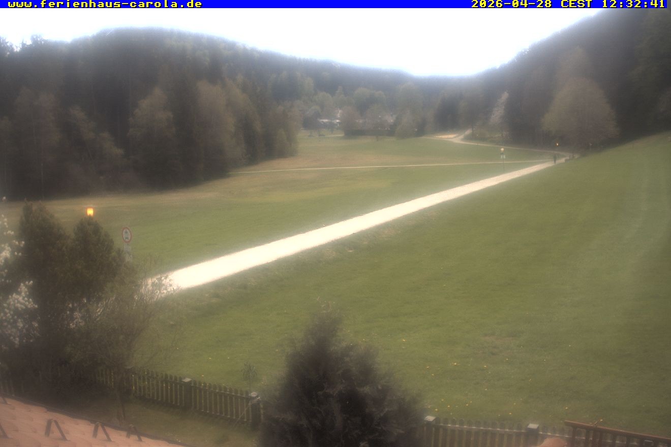 Archiv Foto Webcam Ferienhaus Carola in Hinterzarten