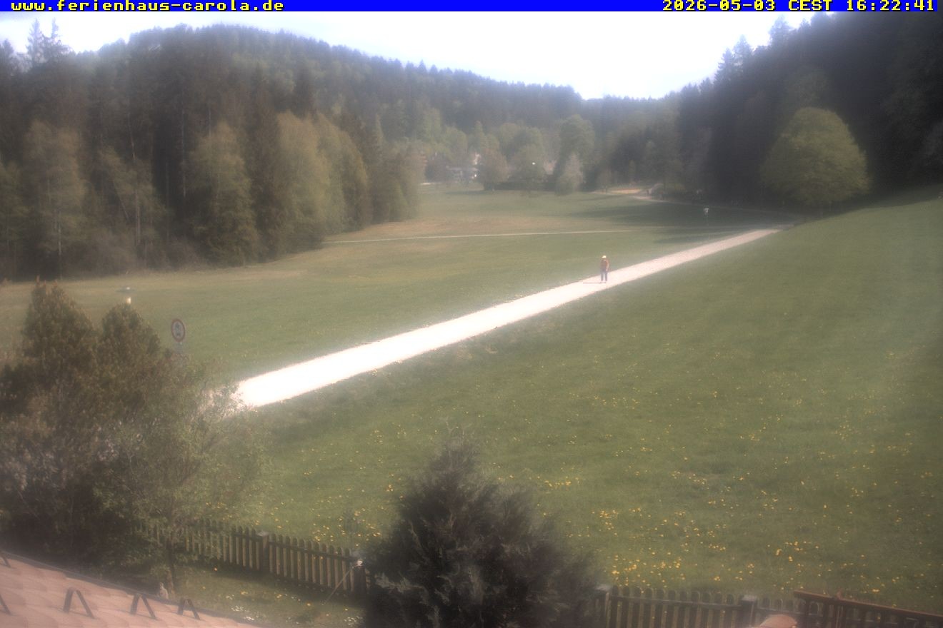 Archiv Foto Webcam Ferienhaus Carola in Hinterzarten