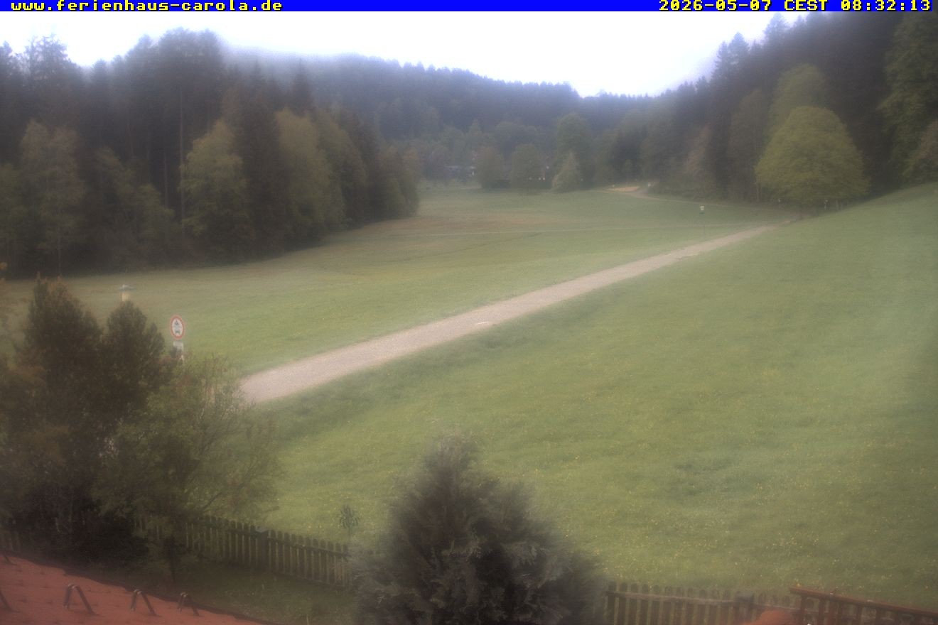 Archiv Foto Webcam Ferienhaus Carola in Hinterzarten