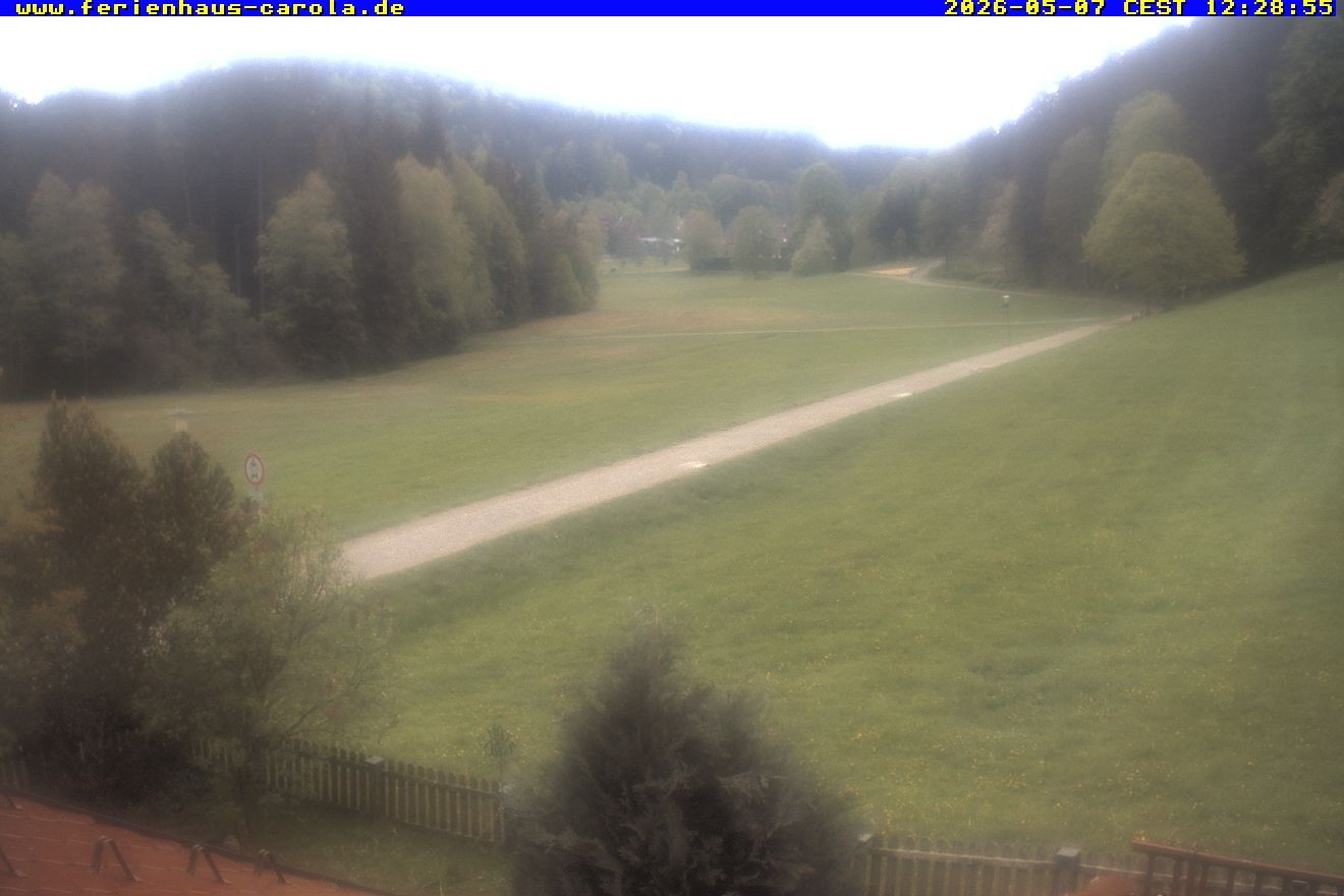 Archiv Foto Webcam Ferienhaus Carola in Hinterzarten
