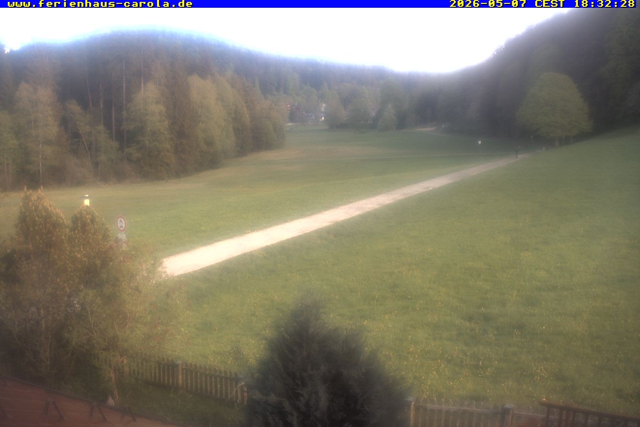 Archiv Foto Webcam Ferienhaus Carola in Hinterzarten