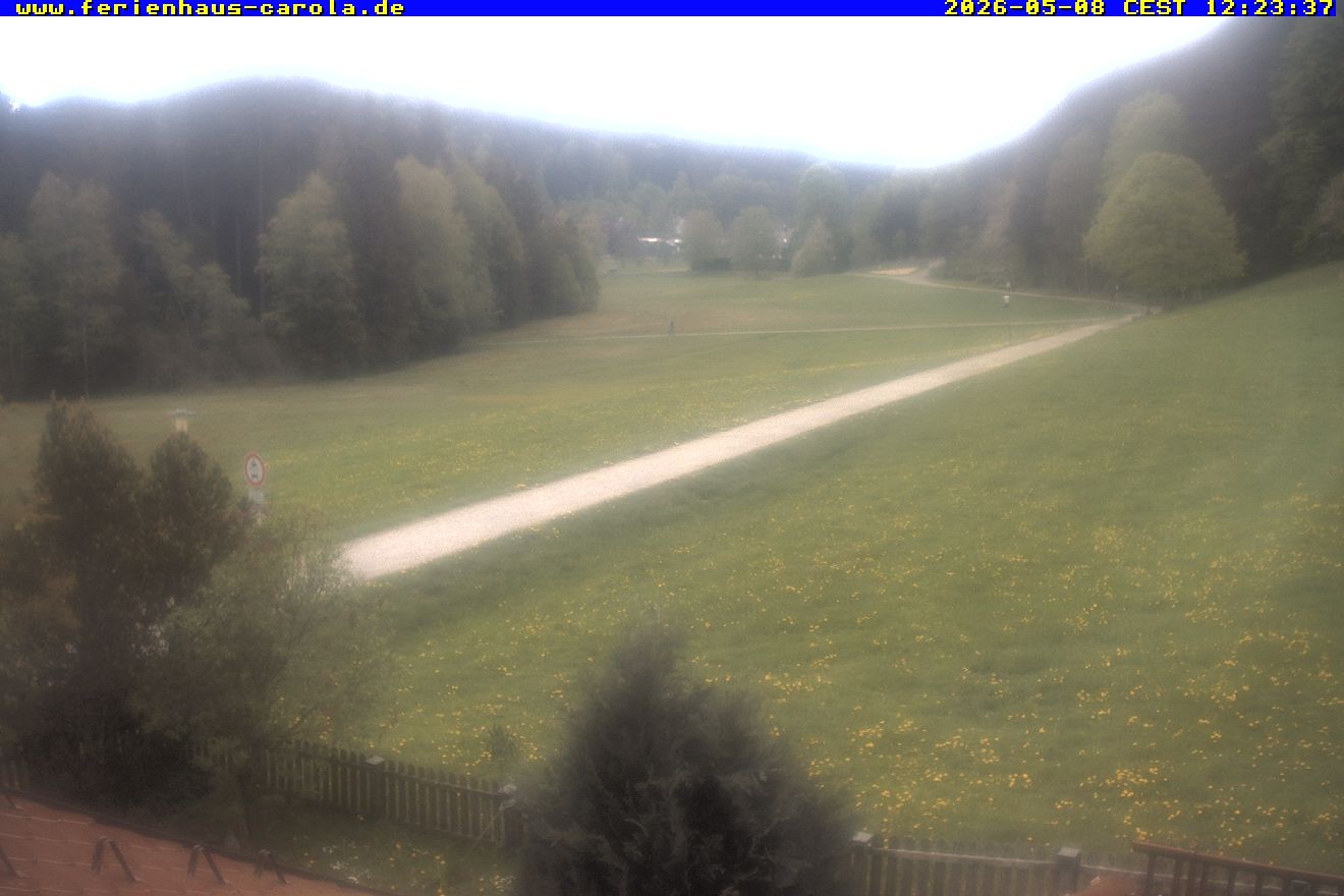 Archived image Webcam Holiday lodge Carola at Hinterzarten