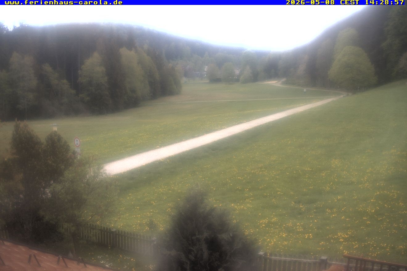 Archived image Webcam Holiday lodge Carola at Hinterzarten