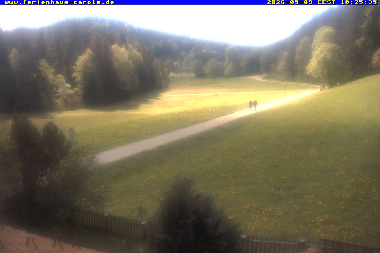 Archiv Foto Webcam Ferienhaus Carola in Hinterzarten