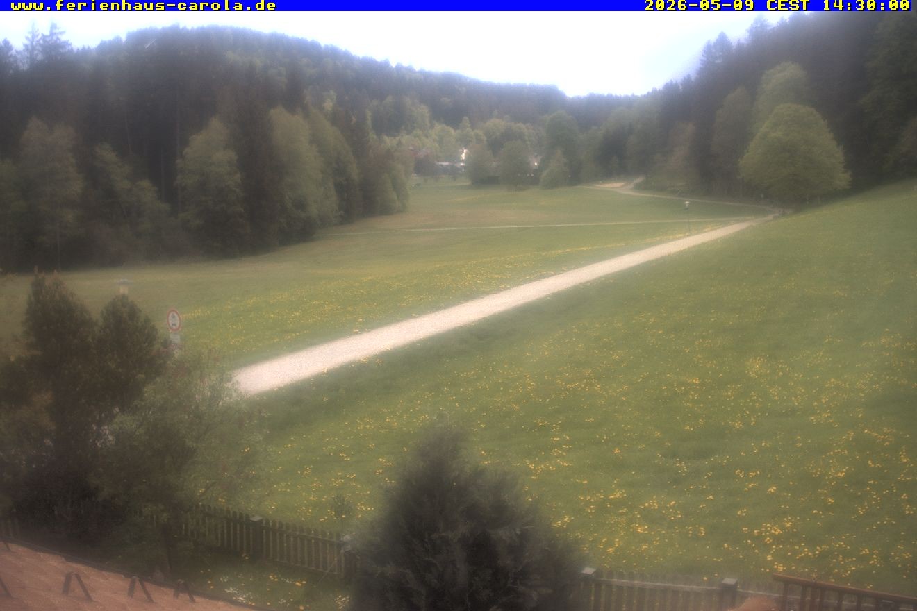 Archiv Foto Webcam Ferienhaus Carola in Hinterzarten
