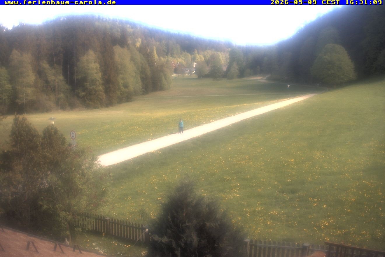 Archiv Foto Webcam Ferienhaus Carola in Hinterzarten