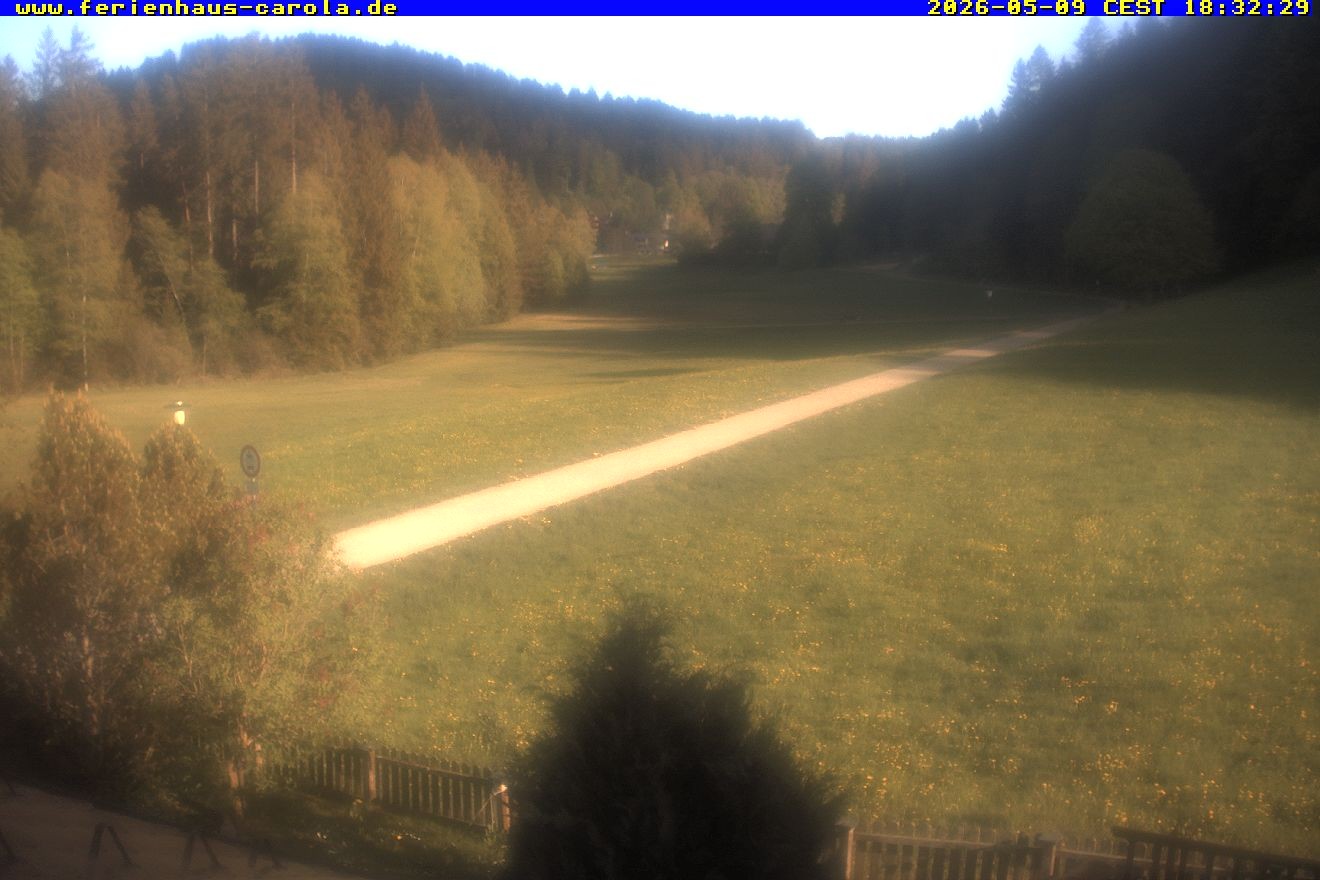 Archiv Foto Webcam Ferienhaus Carola in Hinterzarten