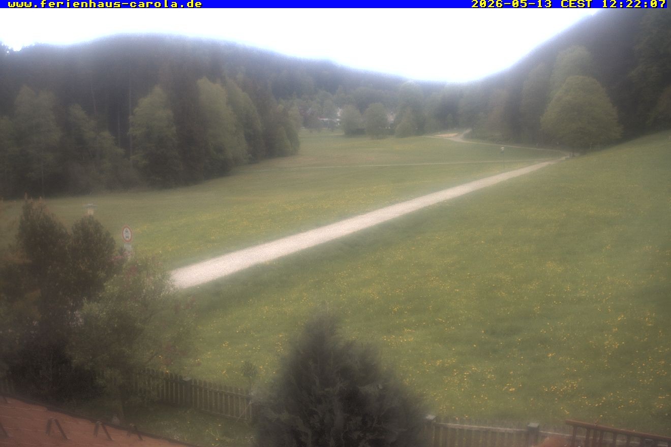 Archiv Foto Webcam Ferienhaus Carola in Hinterzarten