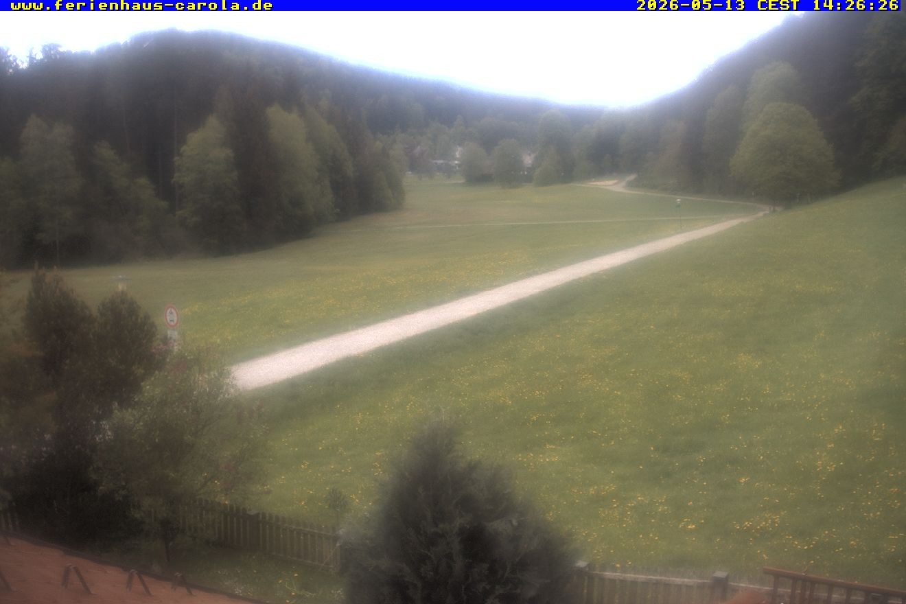 Archiv Foto Webcam Ferienhaus Carola in Hinterzarten