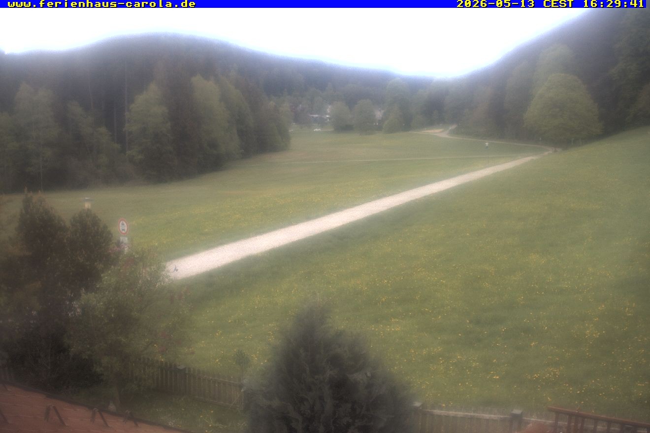 Archiv Foto Webcam Ferienhaus Carola in Hinterzarten