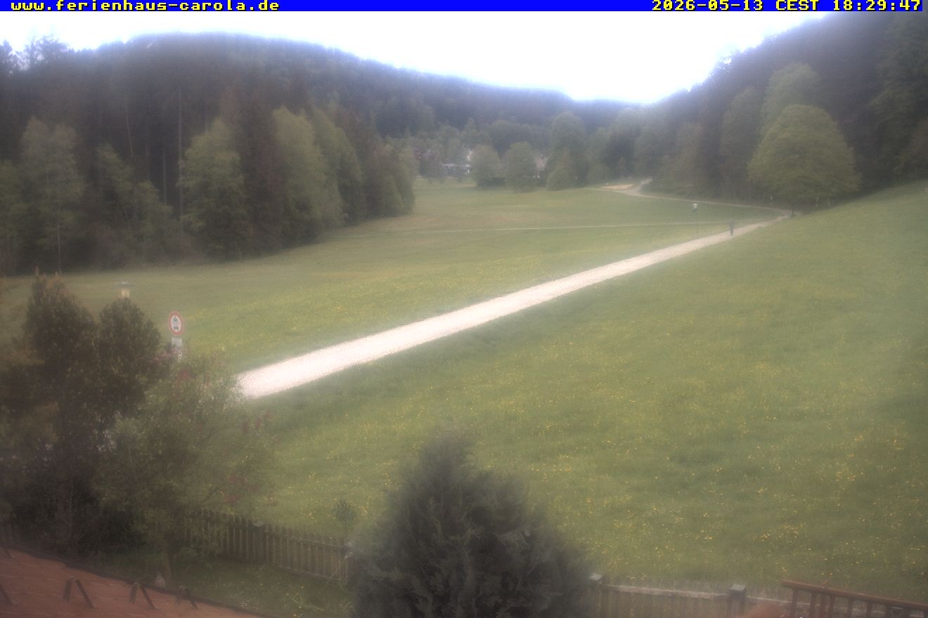 Archiv Foto Webcam Ferienhaus Carola in Hinterzarten