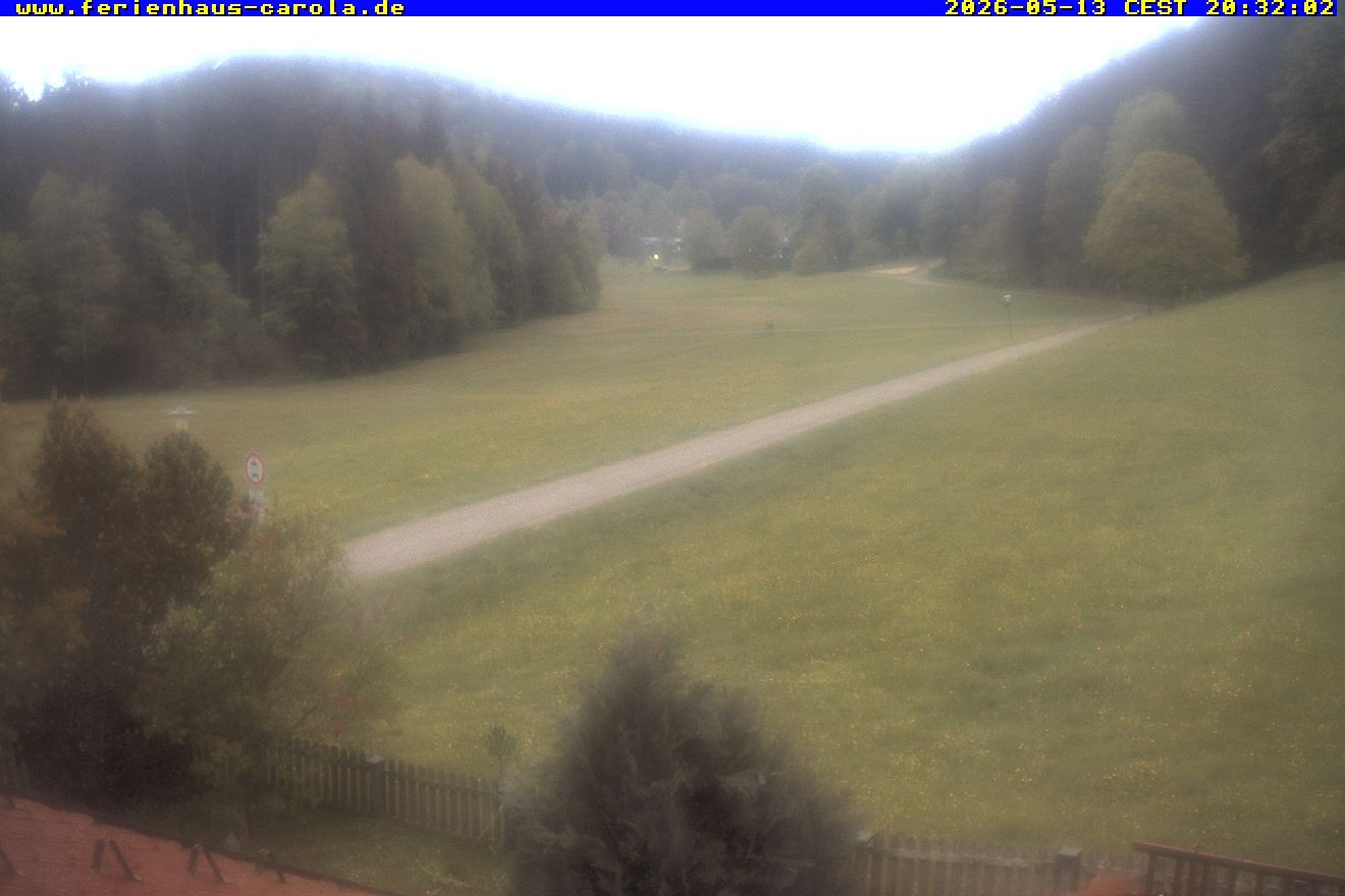 Archiv Foto Webcam Ferienhaus Carola in Hinterzarten