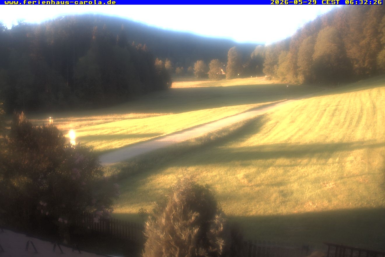 Archiv Foto Webcam Ferienhaus Carola in Hinterzarten