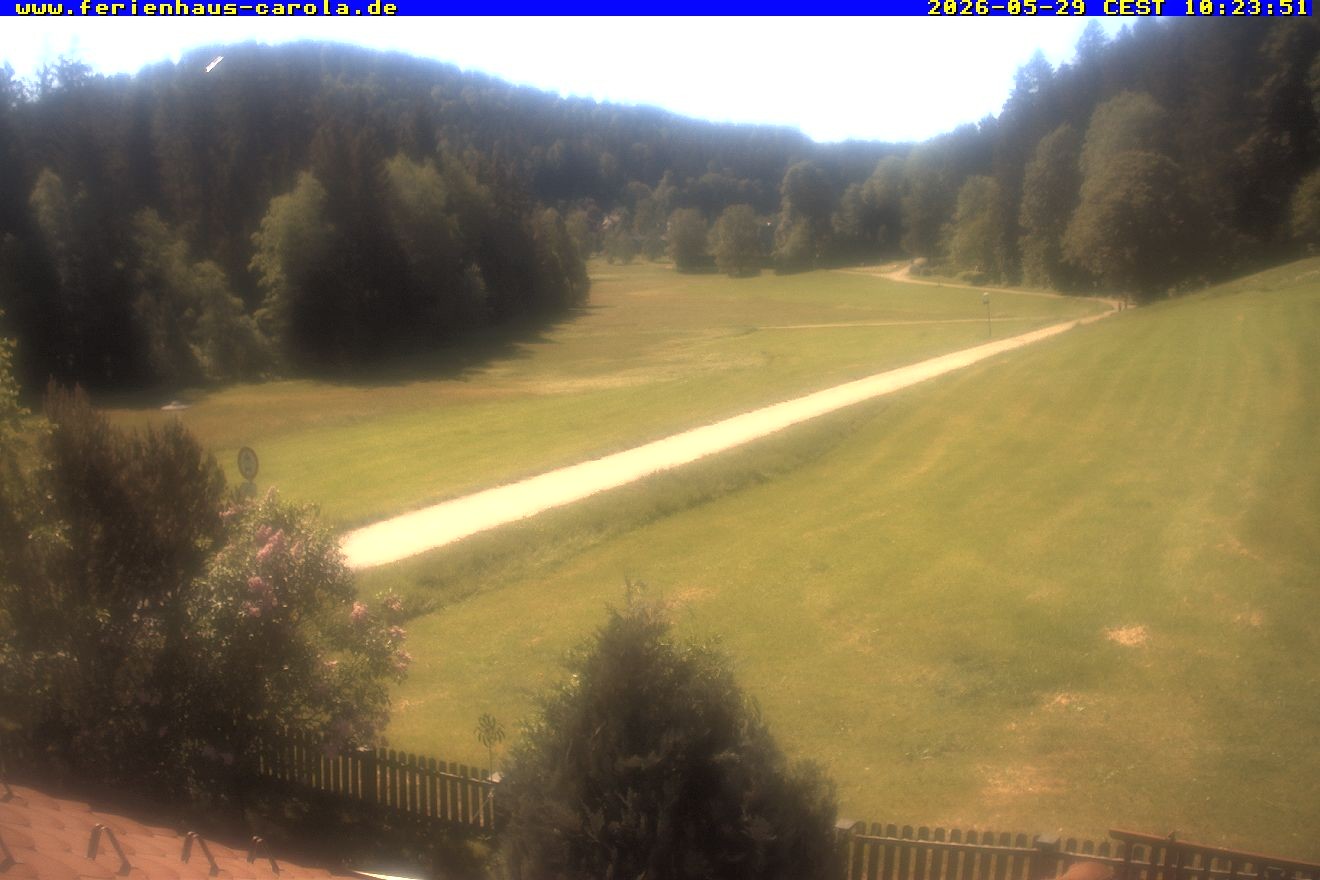 Archiv Foto Webcam Ferienhaus Carola in Hinterzarten
